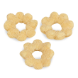 Flor Salsa e Cebola